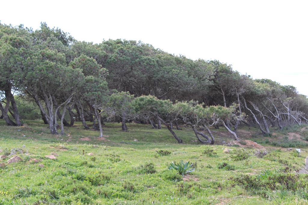 Villa Boa Vista Sul - Terra Da Eira - Raposeira Vila do Bispo Zewnętrze zdjęcie